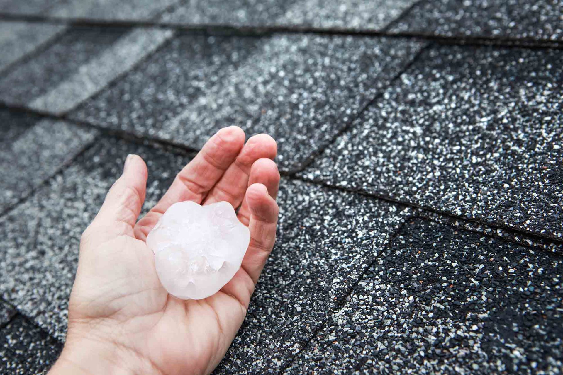 3 Surprising Things that Can Damage your Roof